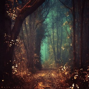 mystical forest