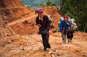 Vietnam_6605_2780-Edit1 dzao women transporting fresh cinnamon bark