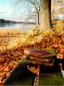 books on table in woods